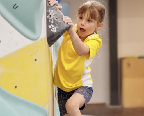 355496492 734397838688642 8332411760168119423 n